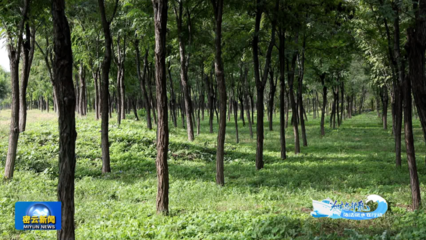 筑牢綠色生態(tài)屏障 以環(huán)湖綠守護(hù)水庫(kù)清