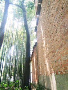 都市報道